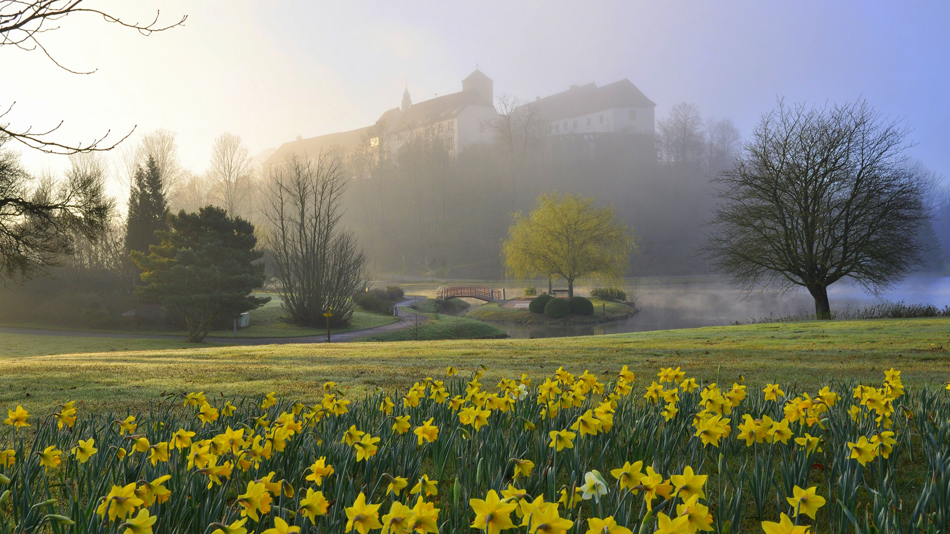 Schloss Bad Iburg mit Narzissen im Frühlingsnebel