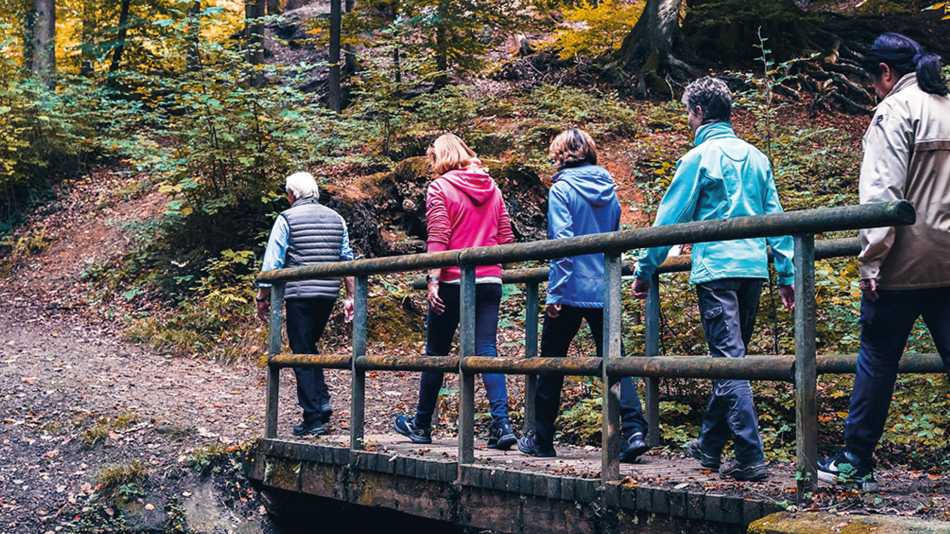 Geführte Wanderung im Herbst