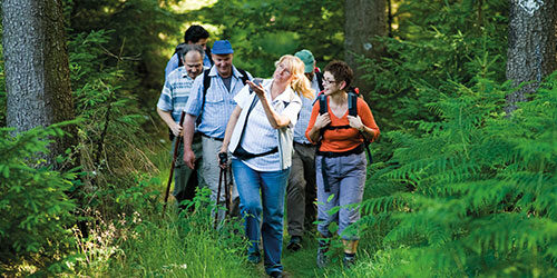 Bookingkit Navigationsbild zum Thema Natur Aktiv - Eine Gruppe Wanderer im Wald