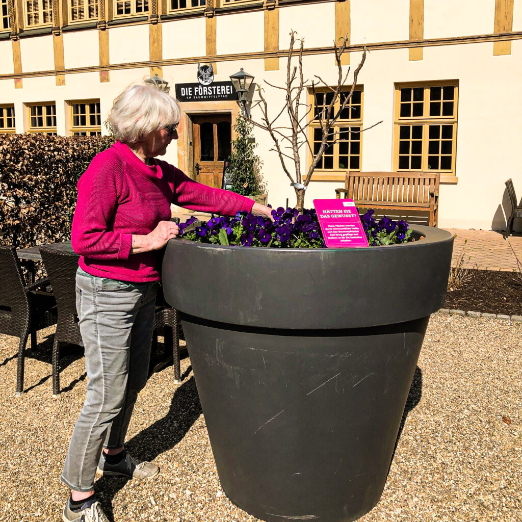Großer Blumenkübel vor der Försterei am Baumwipfelpfad